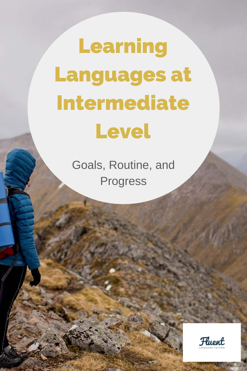 Learning Languages at Intermediate Level: My Language Goals, Routine, and Progress in Detail