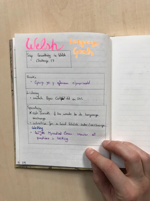 Snapshot of my own goal setting spread from the Bullet Journal