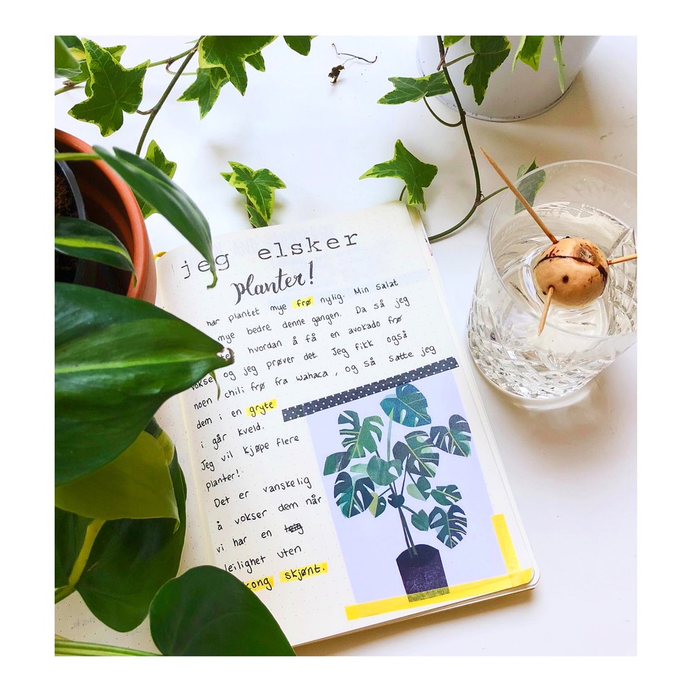 Diary Entry in Norwegian