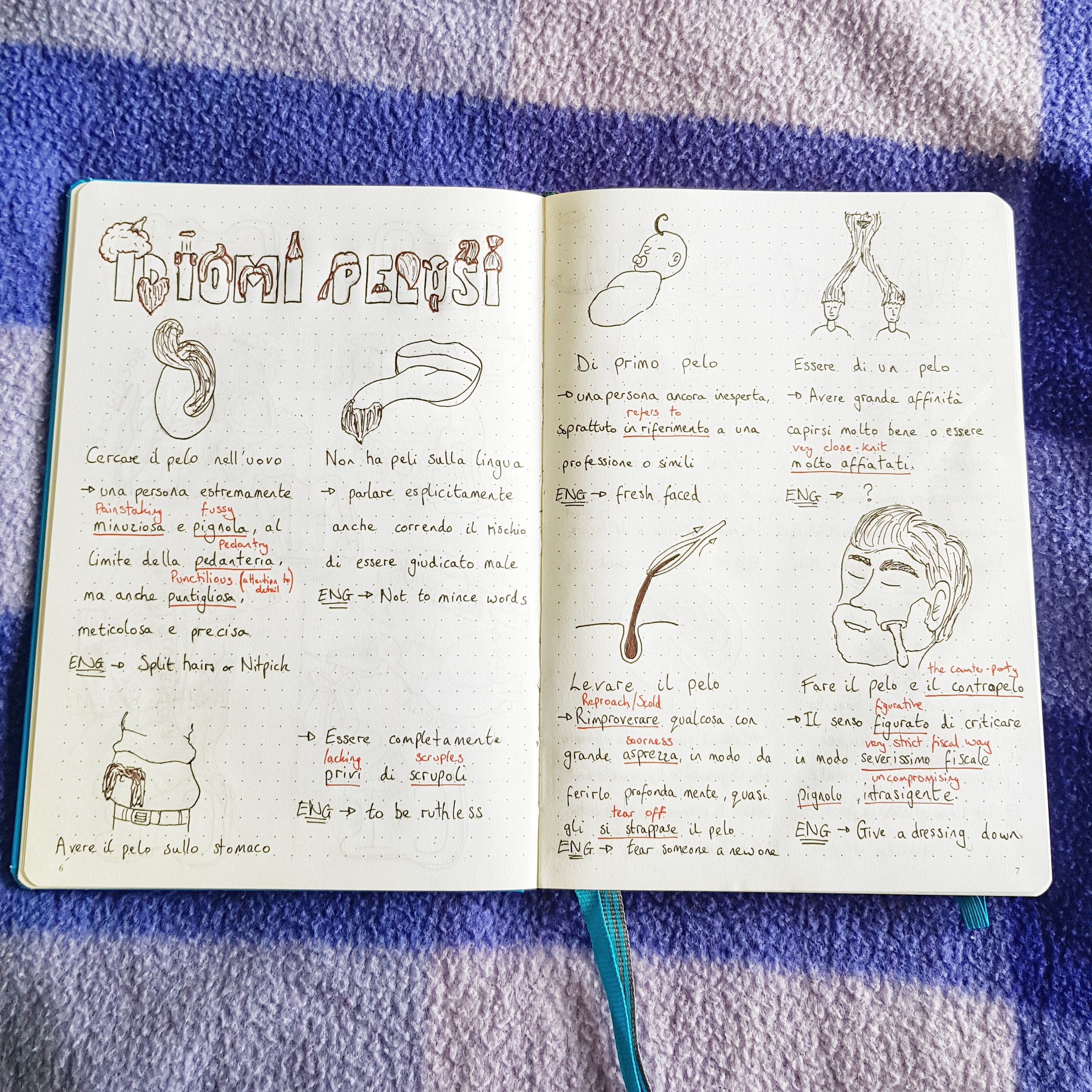 How To Create An Amazing Language Journal by Fluent Language