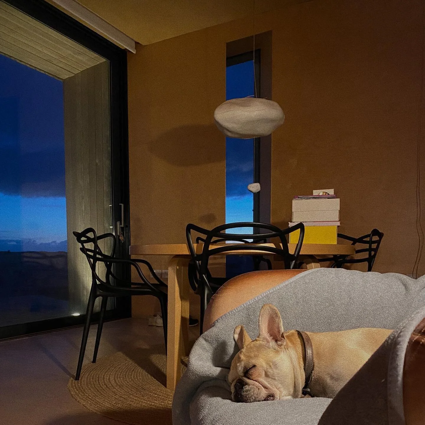 #adogslife #dungeness by the #fire