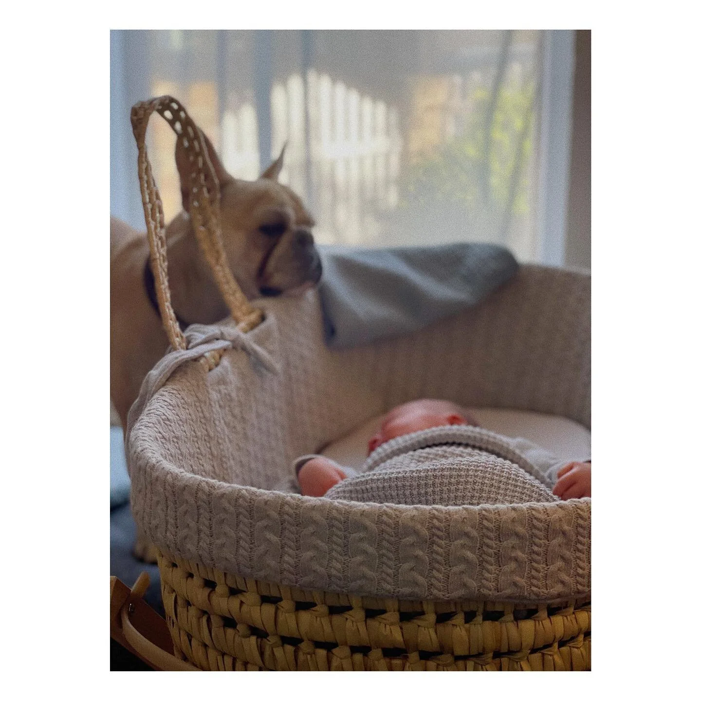 And then there was Ronnie. ❤️ @sammiejones you&rsquo;re my hero X