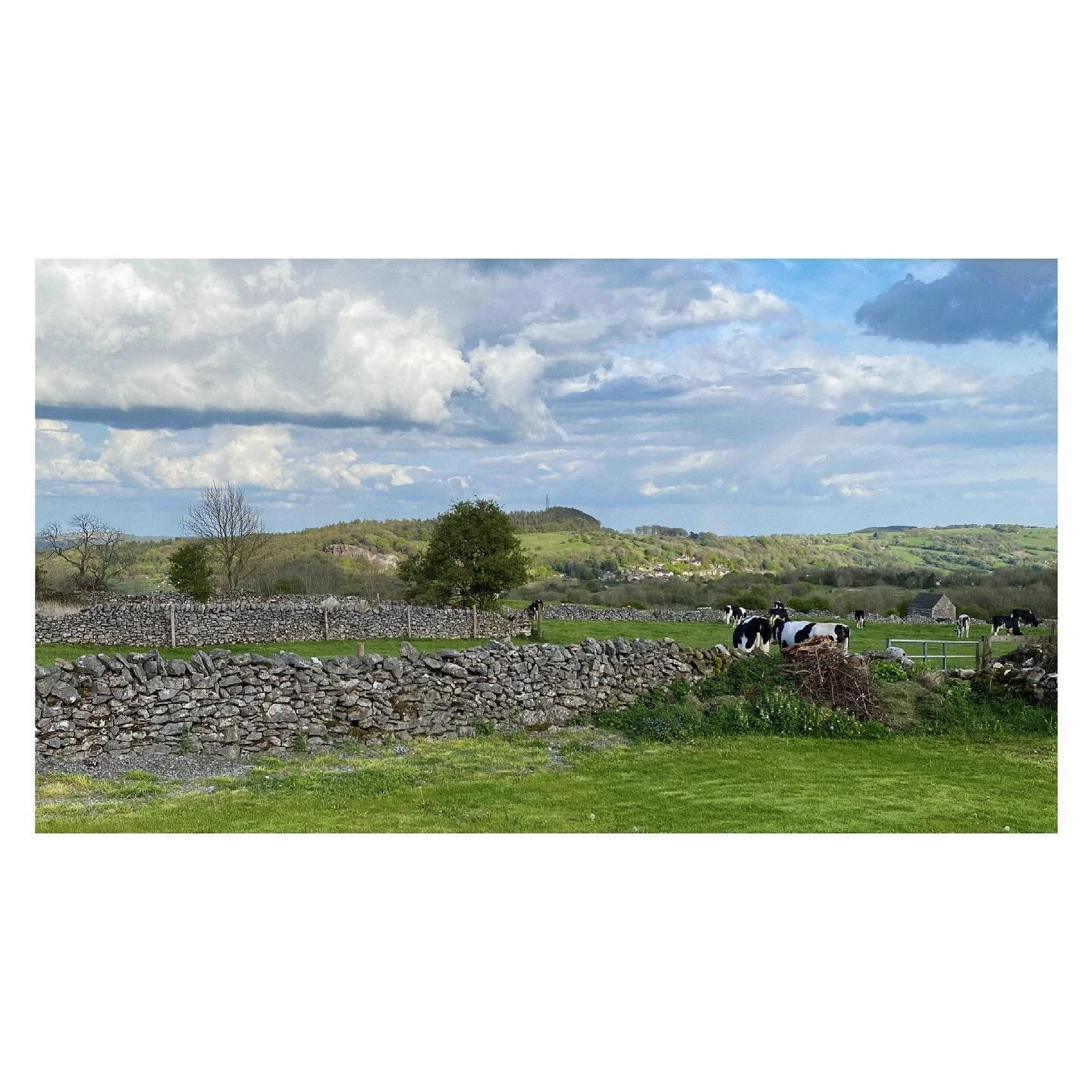 #PeakDistrict #Derbyshire #Middleton 🐄