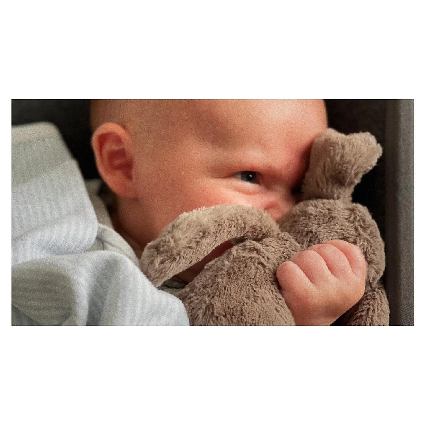 Looks like trouble. The best kind. 😁