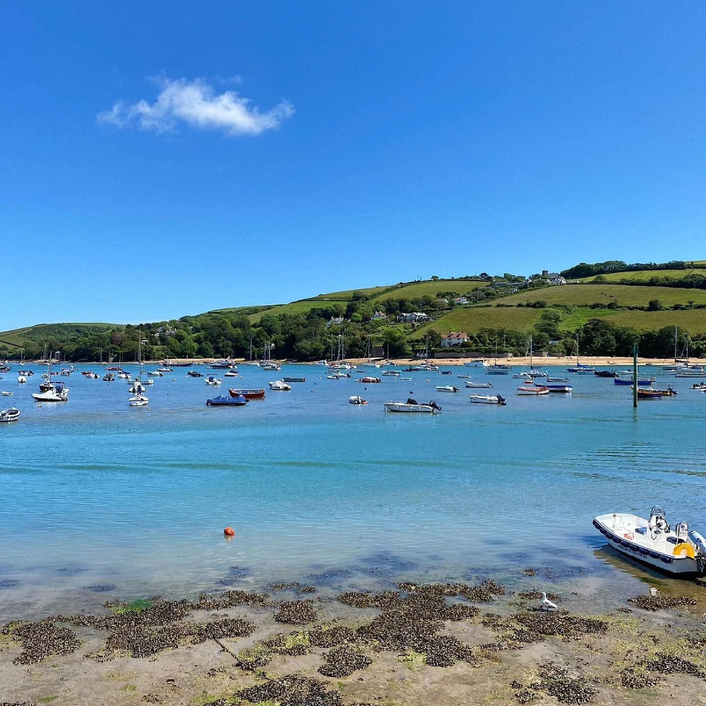 Just the one ☁️ #salcombeharbour #devon 🏴󠁧󠁢󠁥󠁮󠁧󠁿