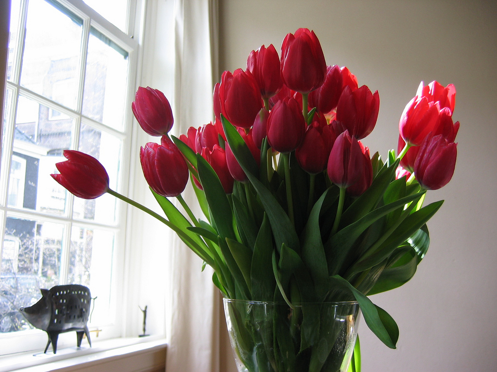 Tulpen in vaas.jpg