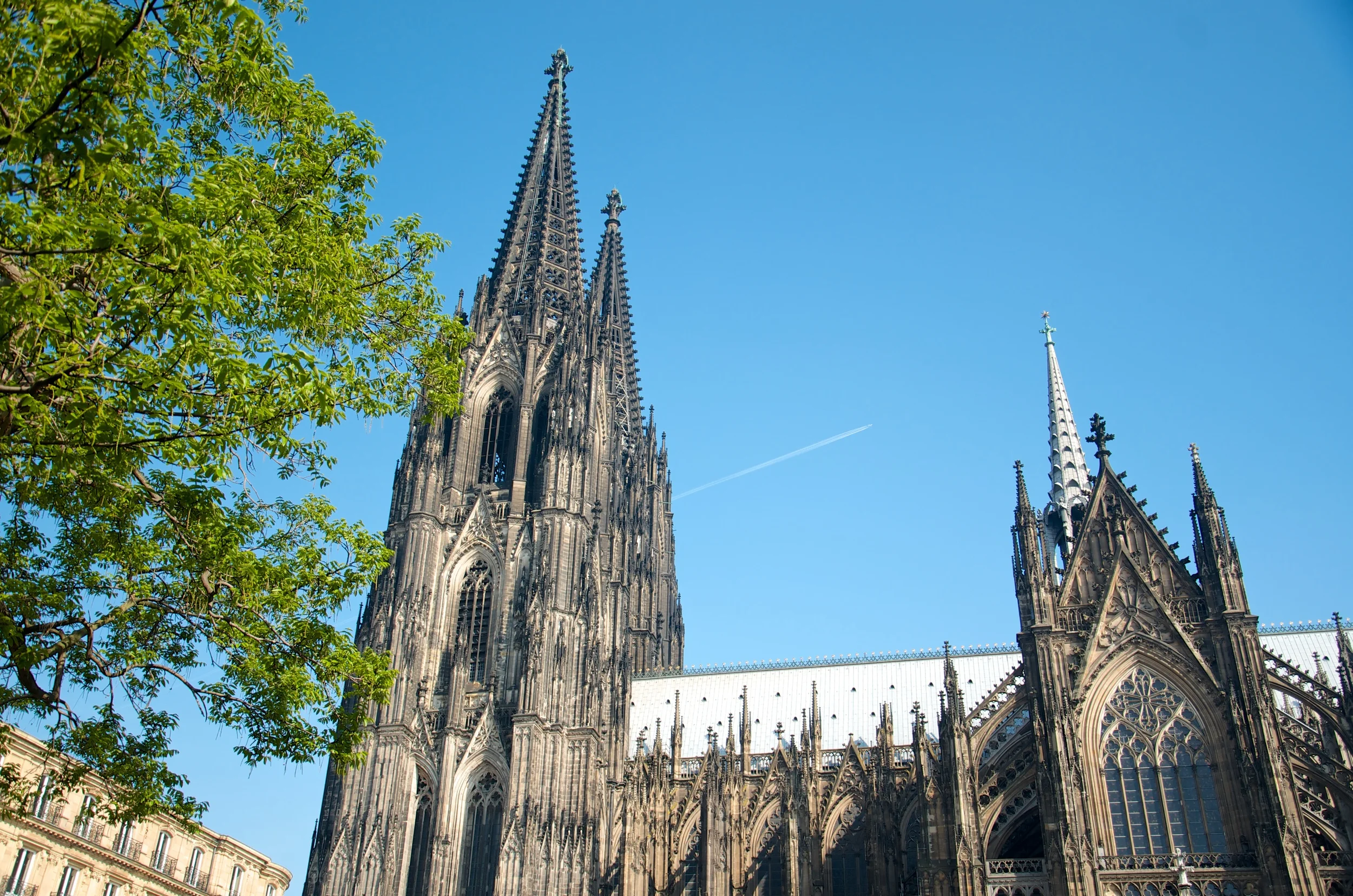 Cologne 8.jpg