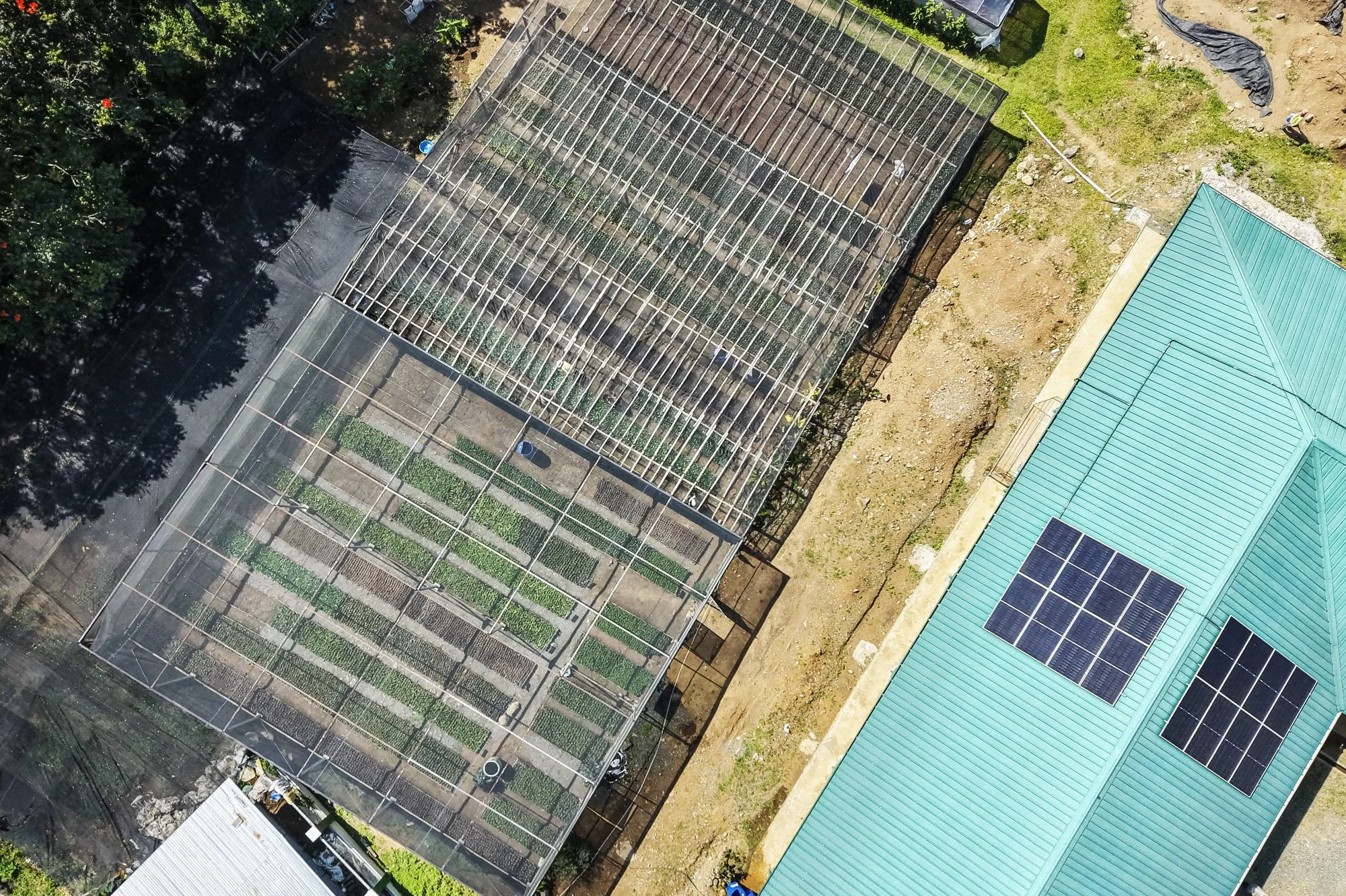 024_IFAD_MINDANAO_DRONE_0008FIN_CR_2000pix.JPG