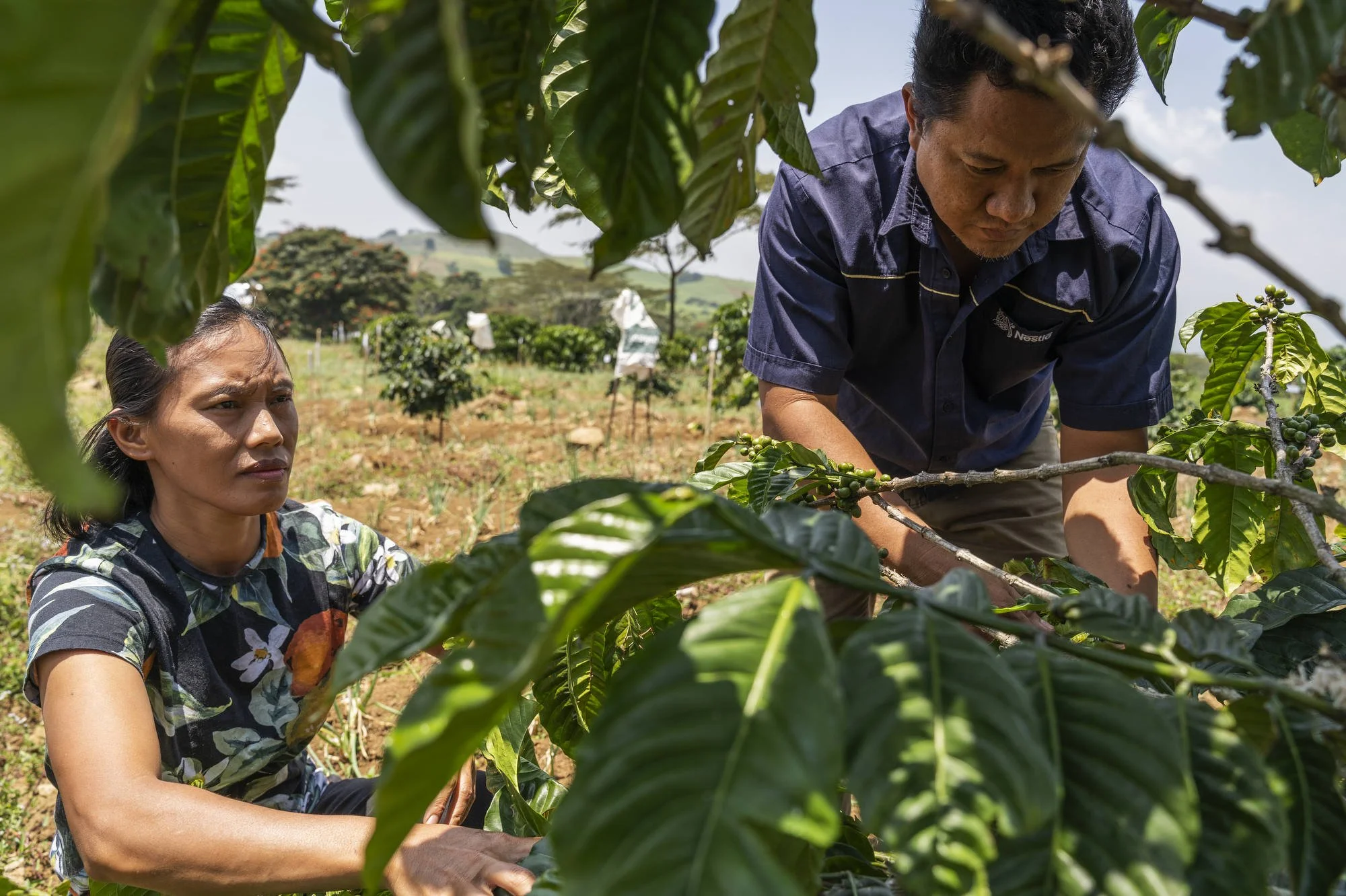 027_IFAD_MINDANAO_5230FIN_2000pix.JPG