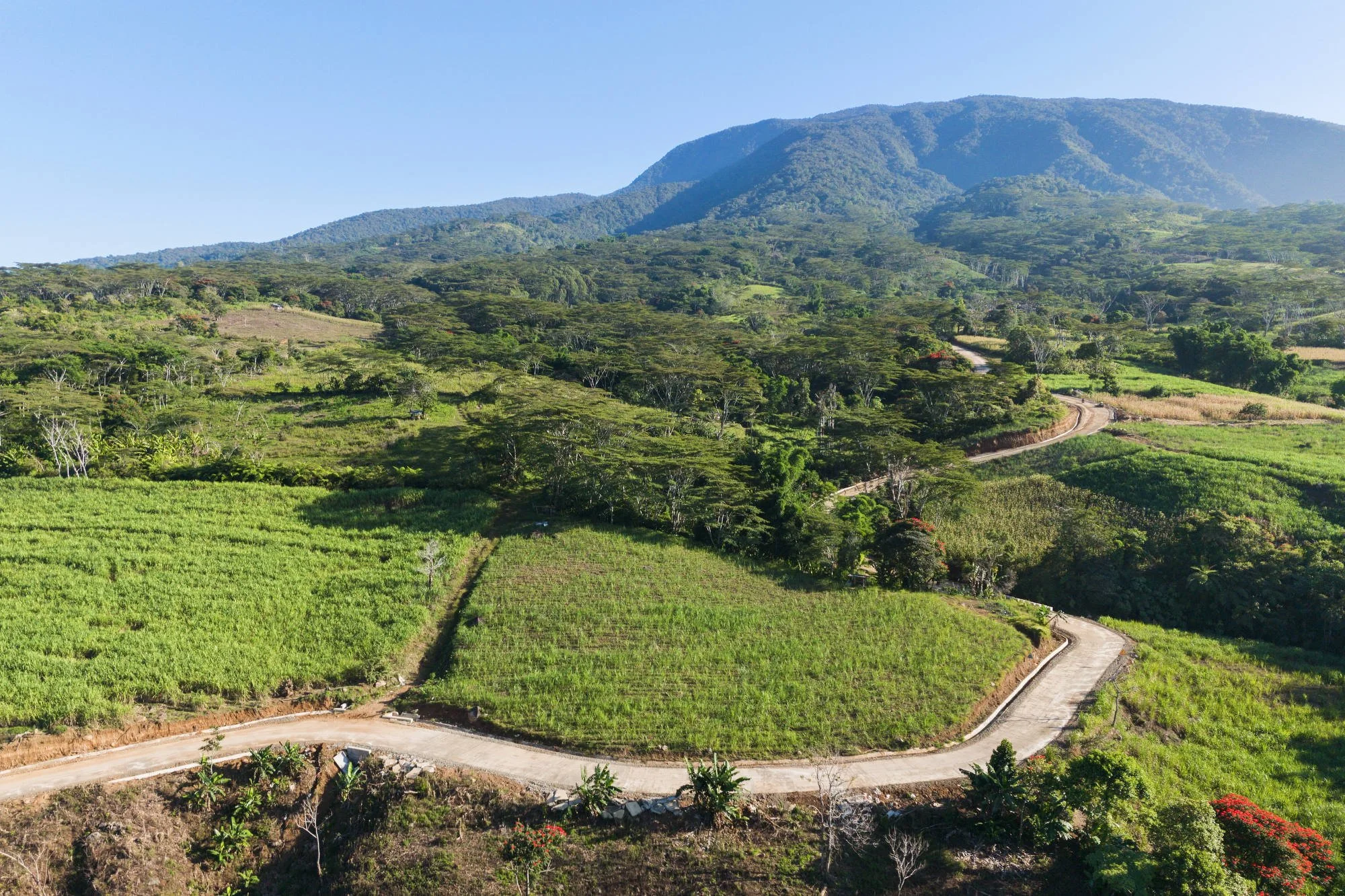 035_IFAD_MINDANAO_DRONE_0025FIN_CR_2000pix.JPG
