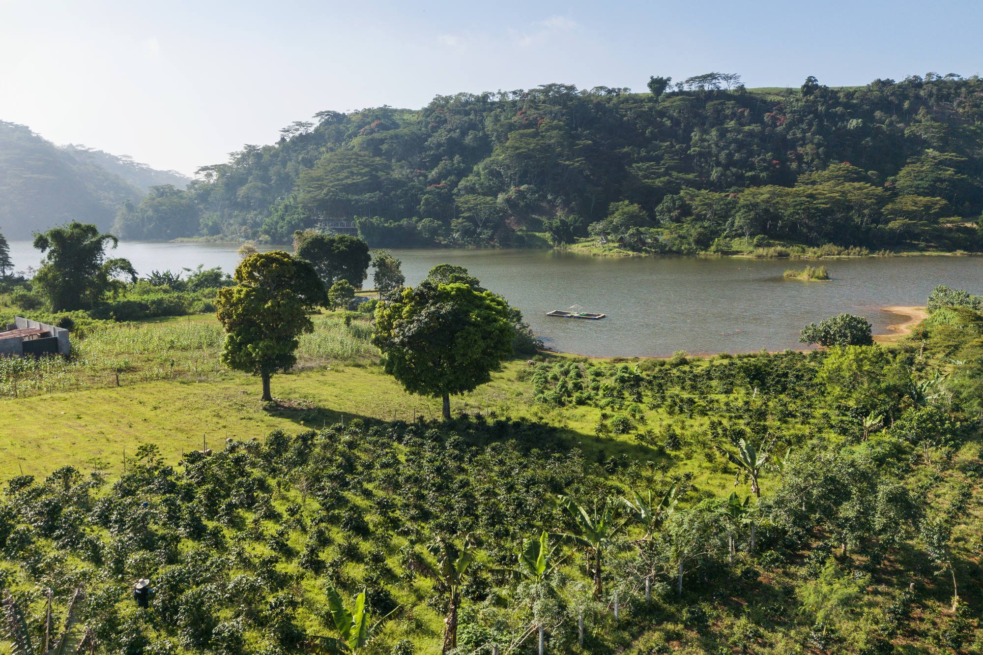 037_IFAD_MINDANAO_DRONE_0045FIN_CR_SQUEEZED02_2000pix.JPG