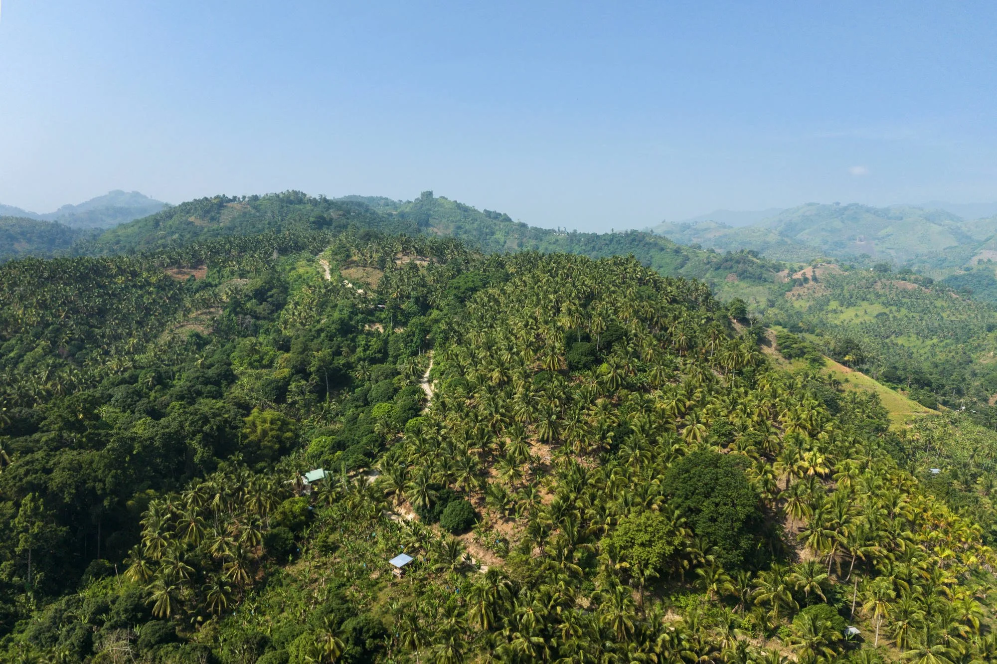 053_IFAD_MINDANAO_DRONE_0059FIN_CR_2000pix.JPG
