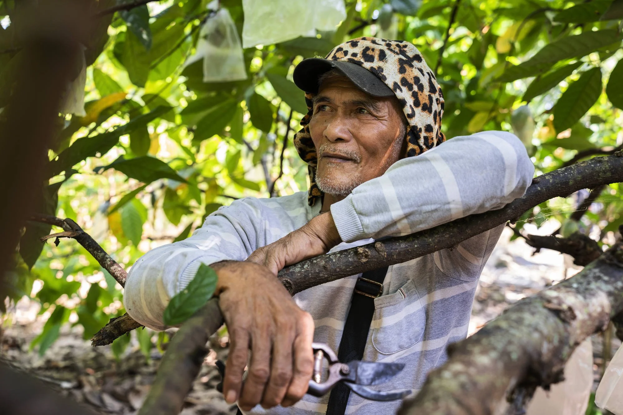 056_IFAD_MINDANAO_9769FIN02_2000pix.JPG