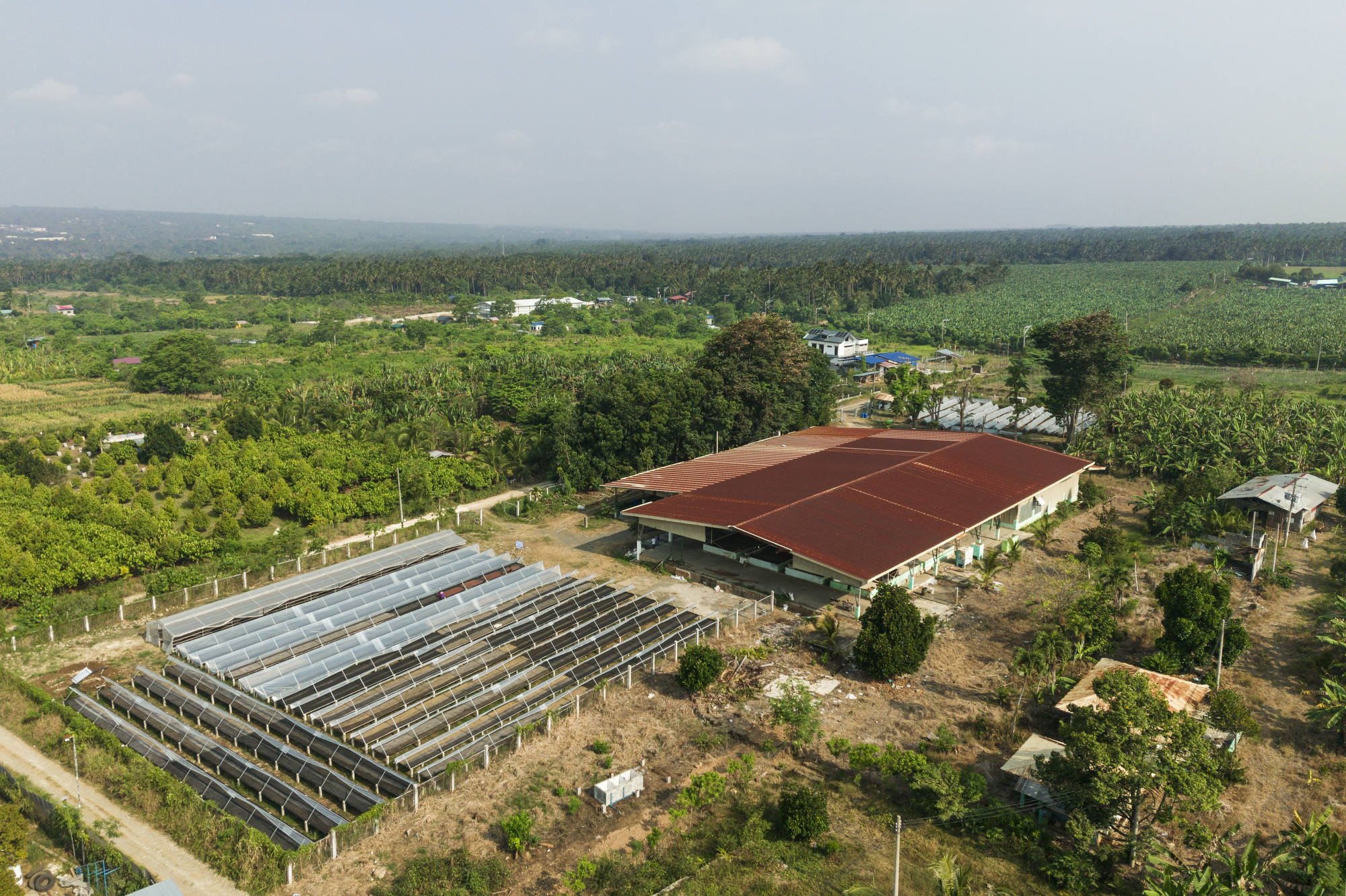 070_IFAD_MINDANAO_DRONE_0096FIN_CR_2000pix.JPG
