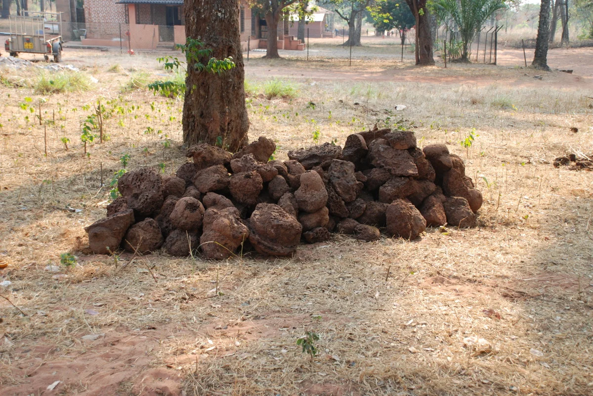 angola 2010 192.jpg