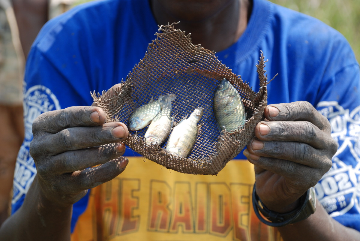 angola 2010 136.jpg
