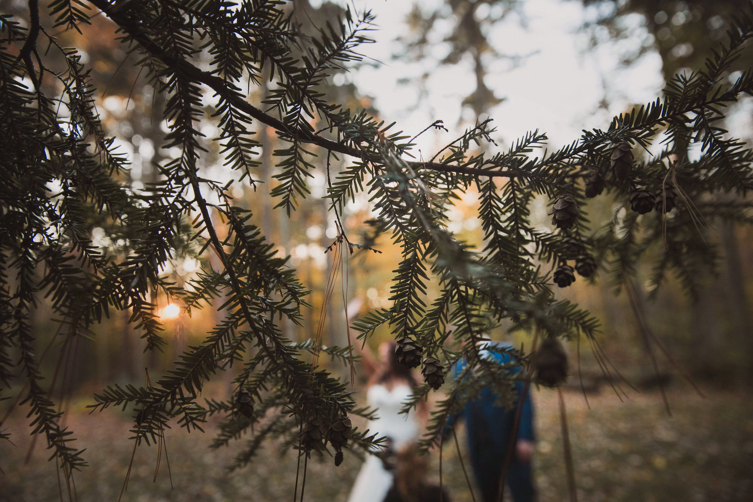 ToledoWeddingPhotography-112.jpg