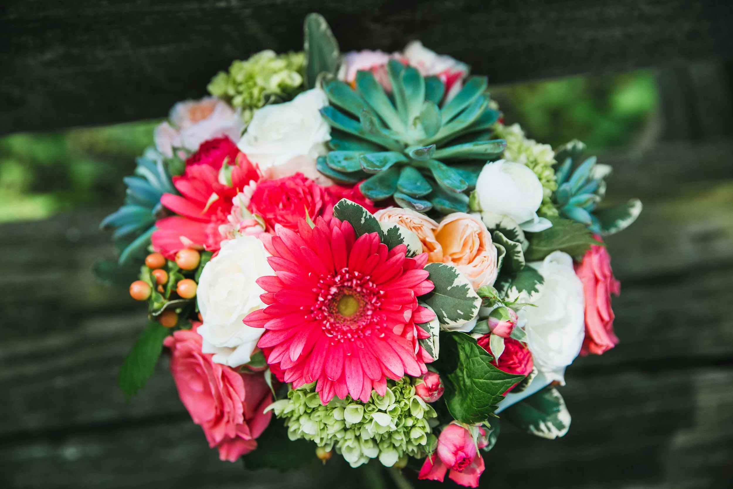 BethAnn+CamSneak-034.jpg