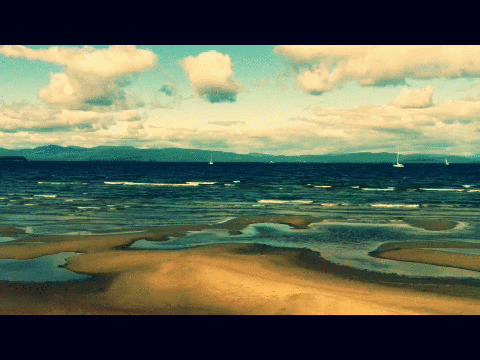 Transient