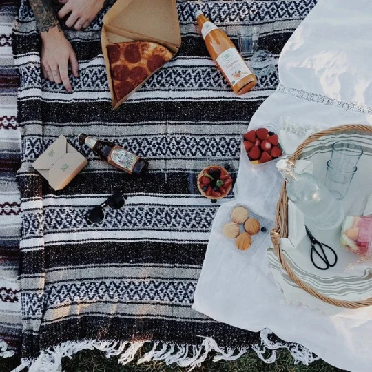 picnic.jpg