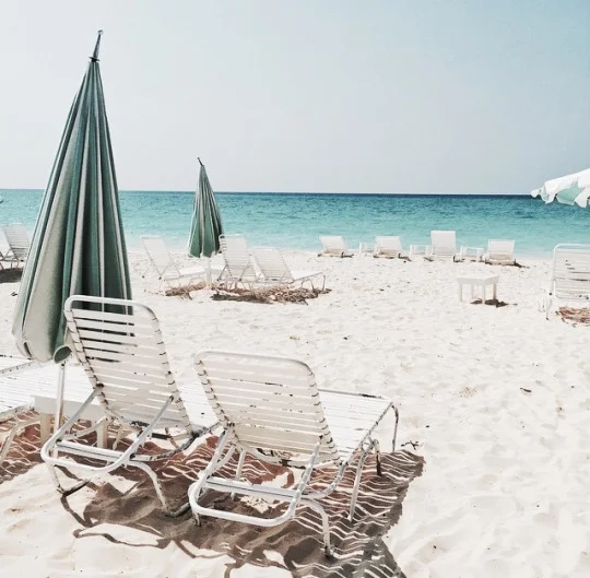 the beach.jpg