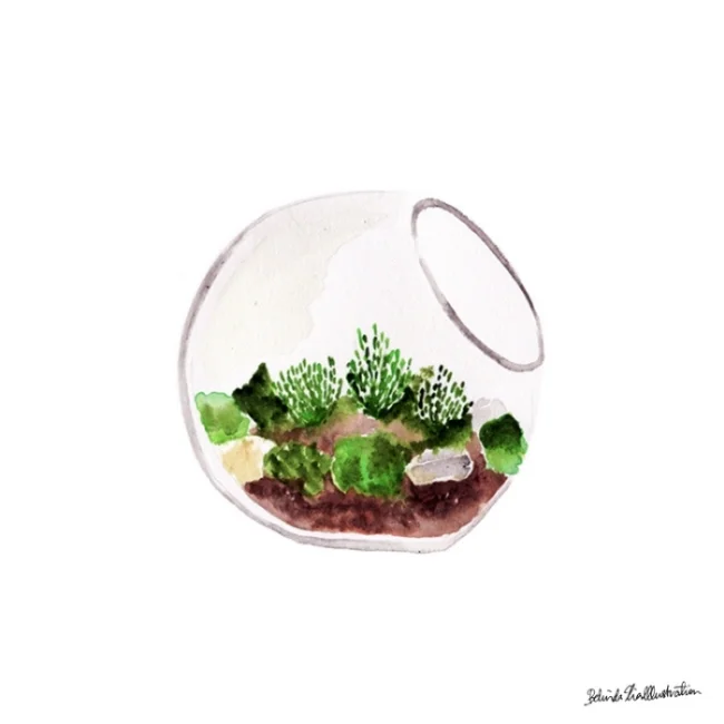 terrarium2.jpg