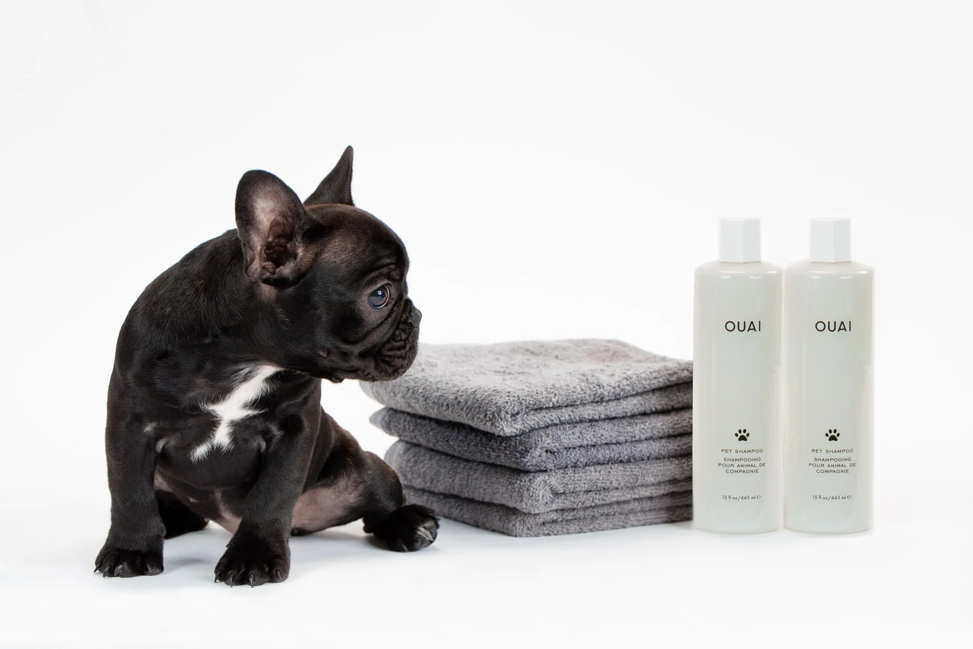 ouai dog shampoo