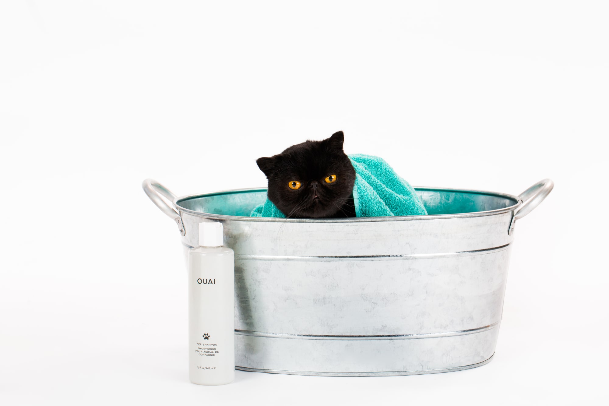ouai pet shampoo black cat.jpg