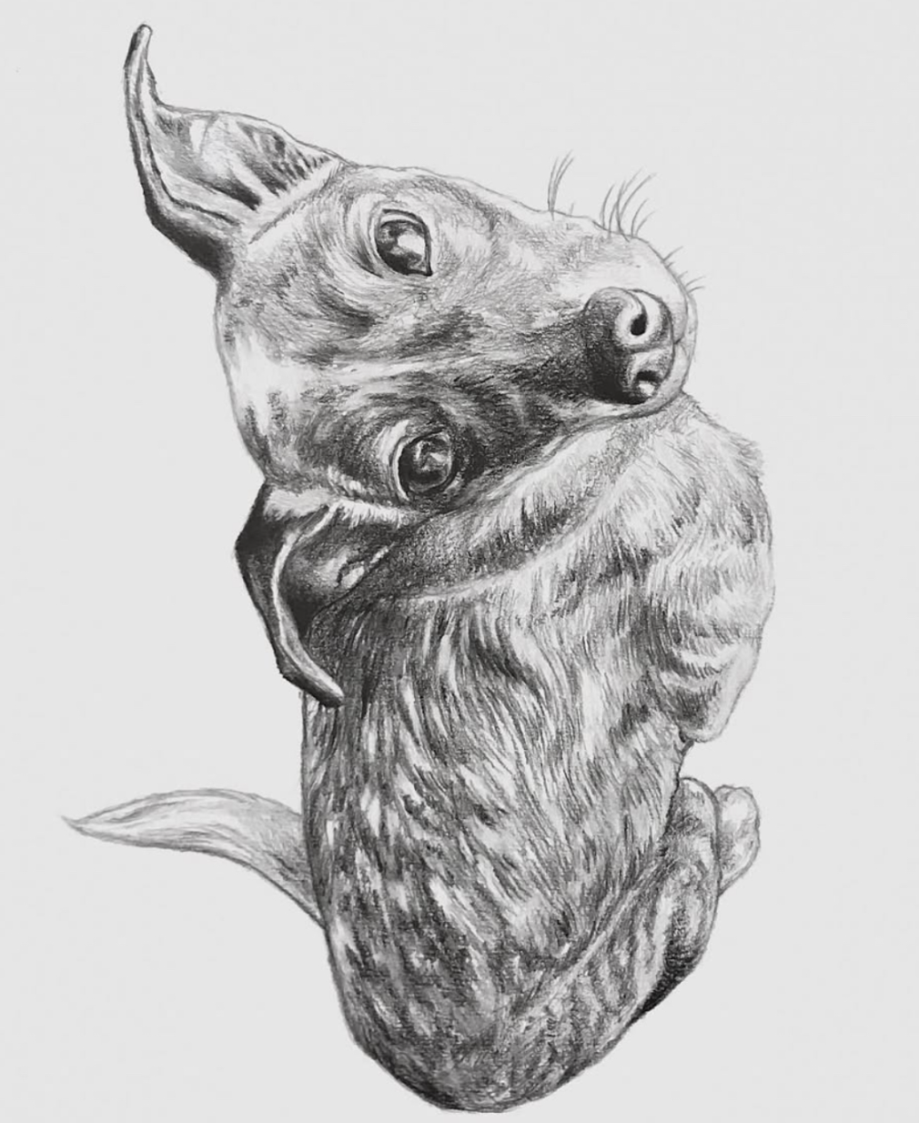 Screenshot 2026-04-09 at 5.52.46 PM.png