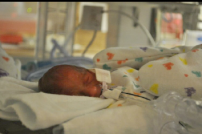 BRYN - 1 POUND 3 OUNCES
