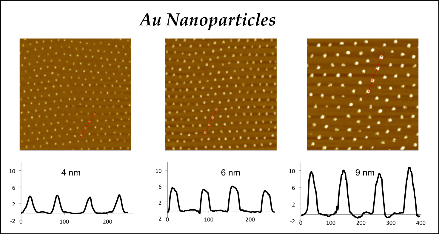 Au nanoparticles.png