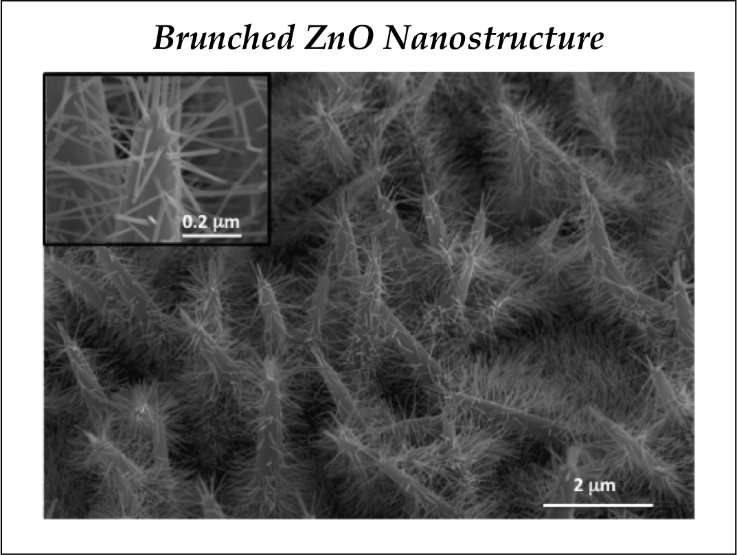 ZnO branched.png