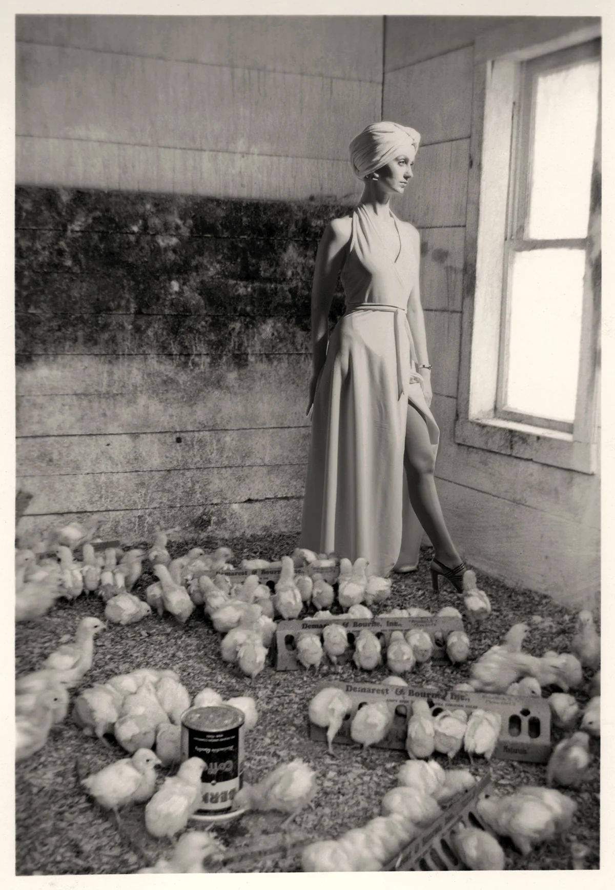 The Farmer's Daughter
