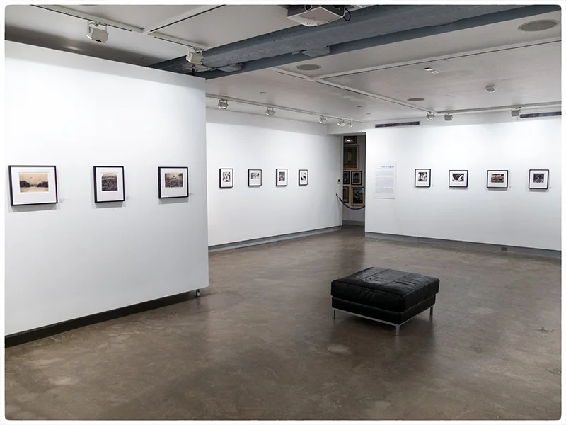 2016 Blue Sky Installation View, No 1