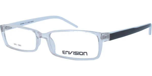 Envision 291