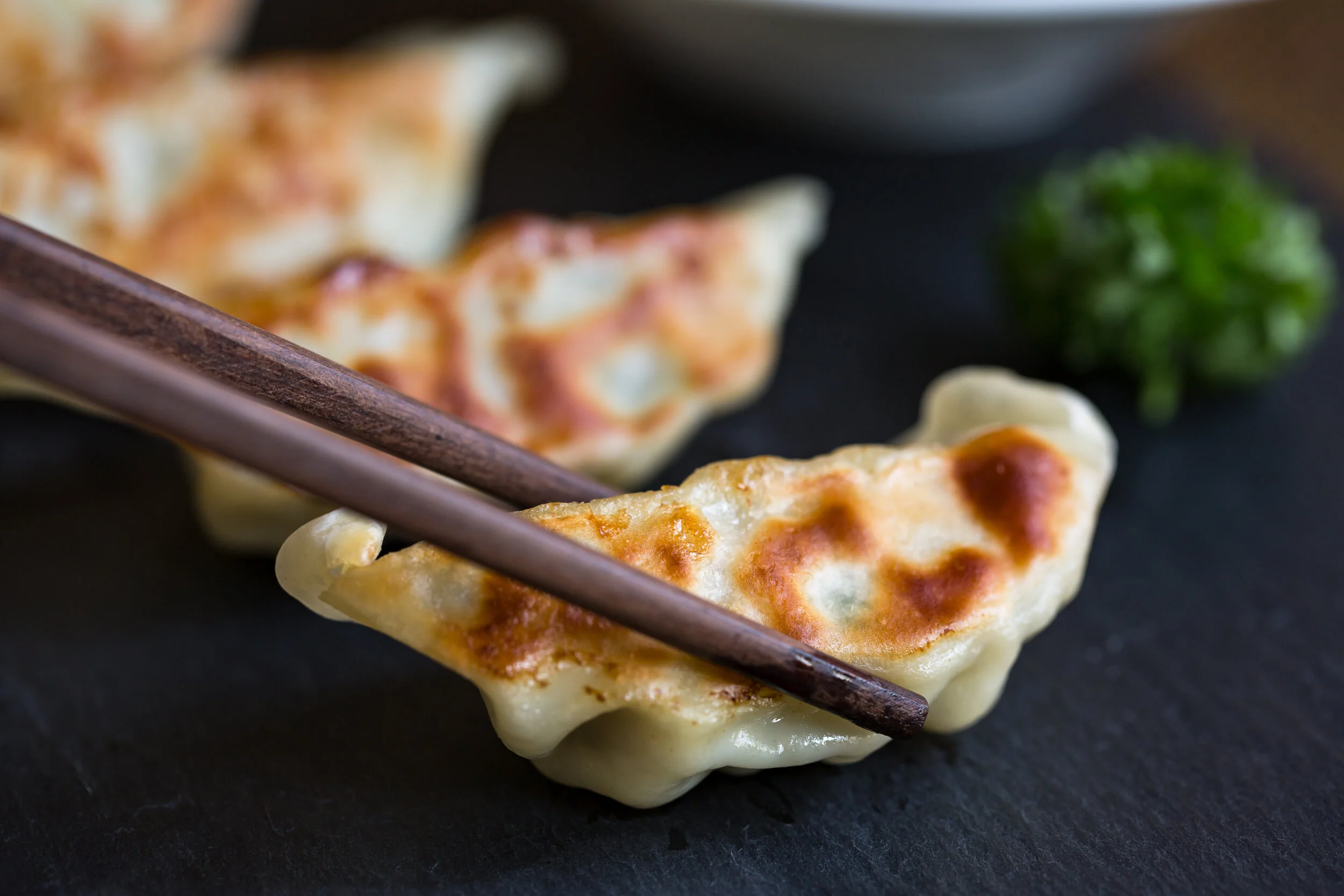 Yaki Gyoza Japanese Pan Fried Dumplings Thyme Envy