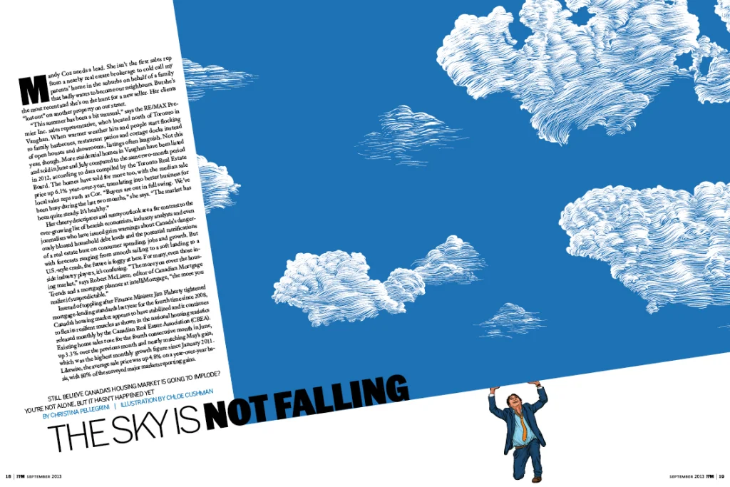 skyisnotfalling 2.jpg