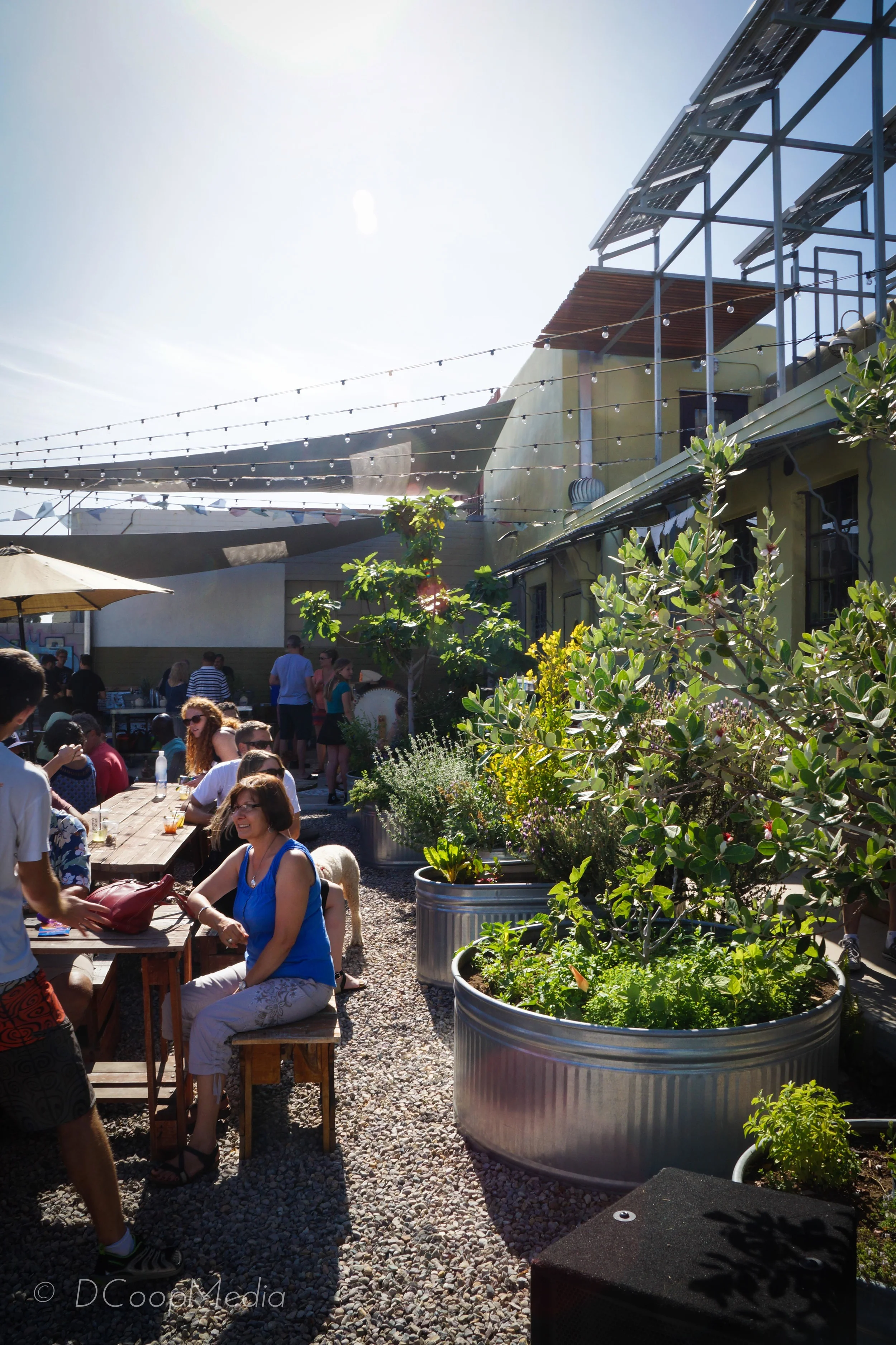 The relaxing backyard at Art Produce Gallery on University.