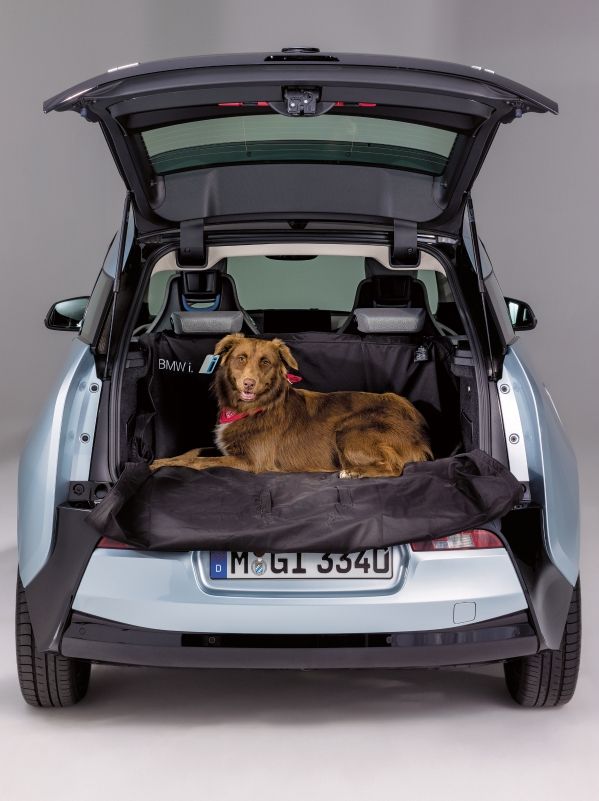 image courtesy BMW