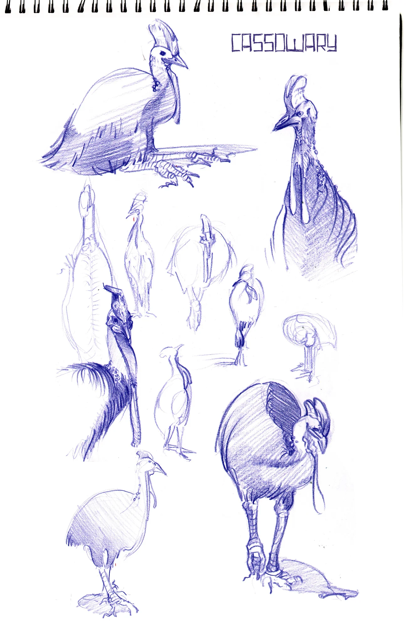Sketchbook LA4.jpg