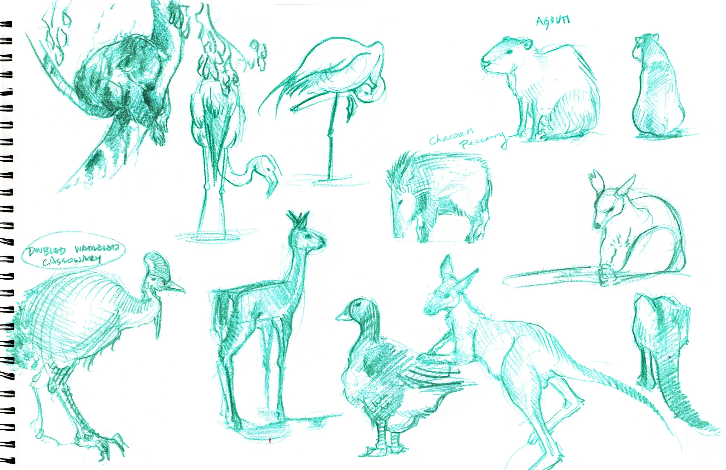 Sketchbook LA2.jpg