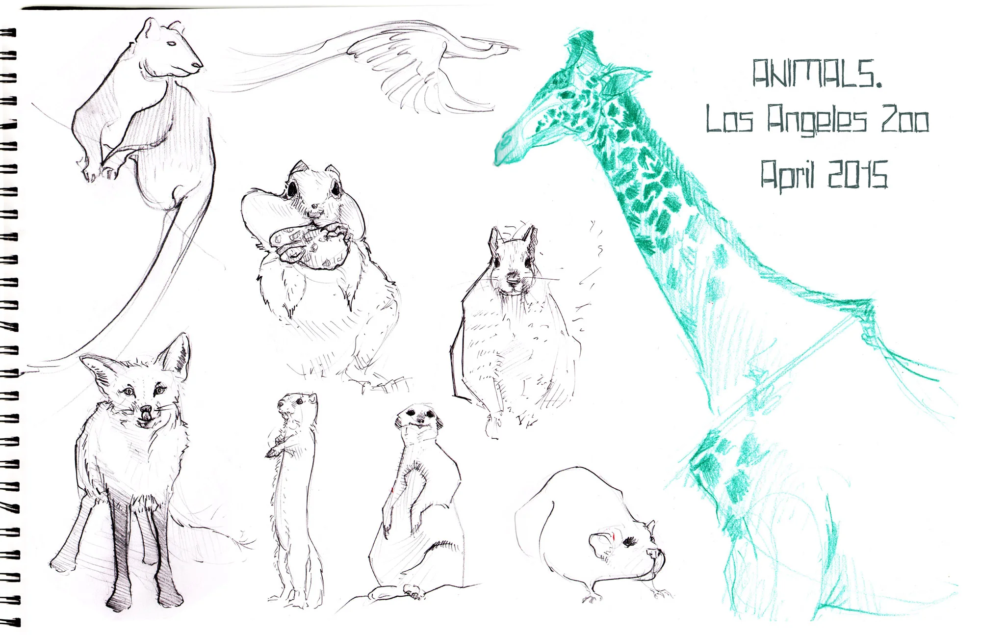sketchbook LA.jpg