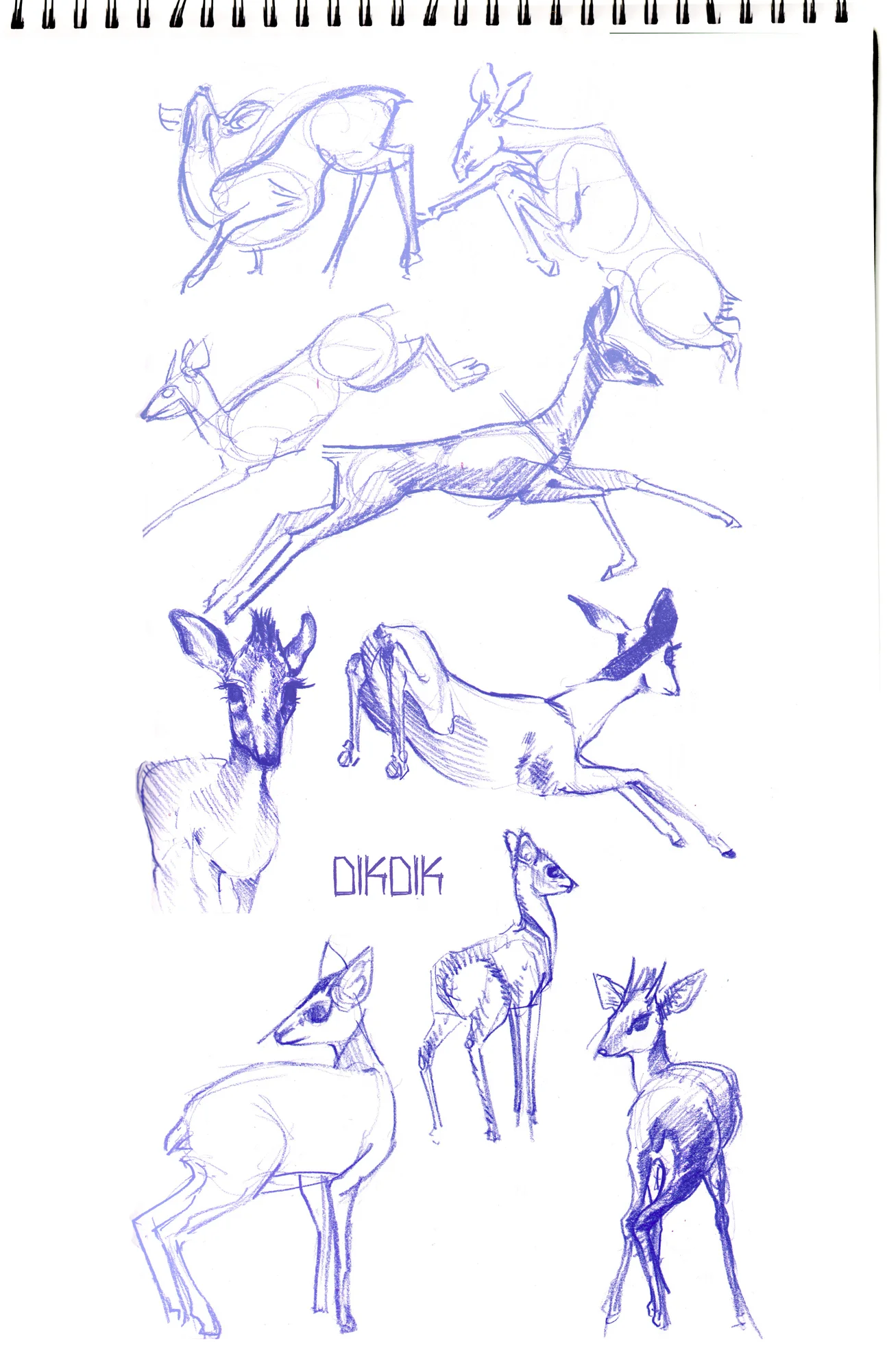 Sketchbook LA3.jpg