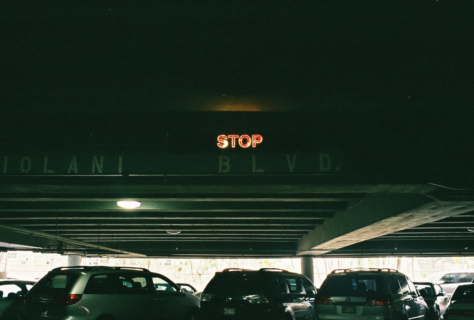 00000009.jpg