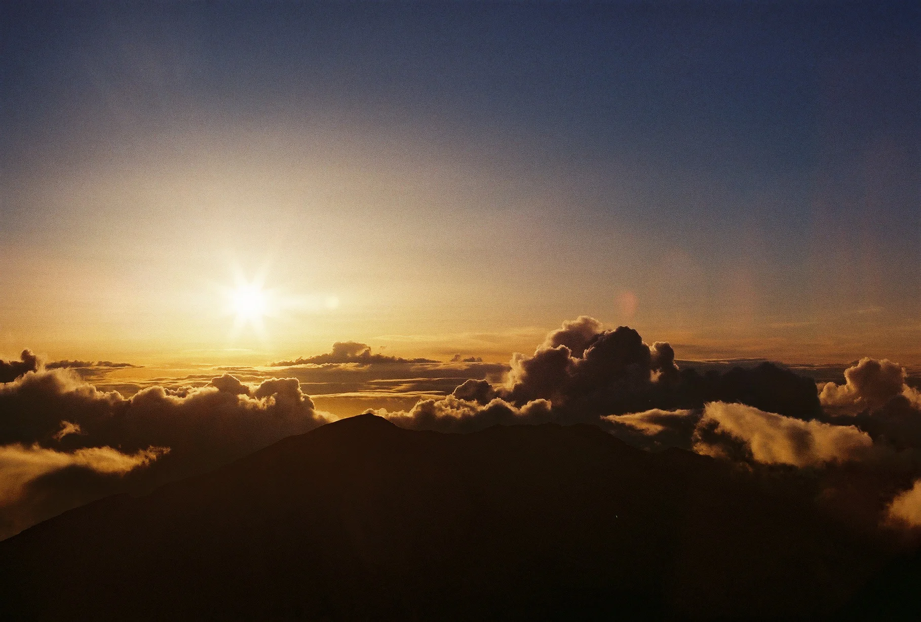 Film 2014