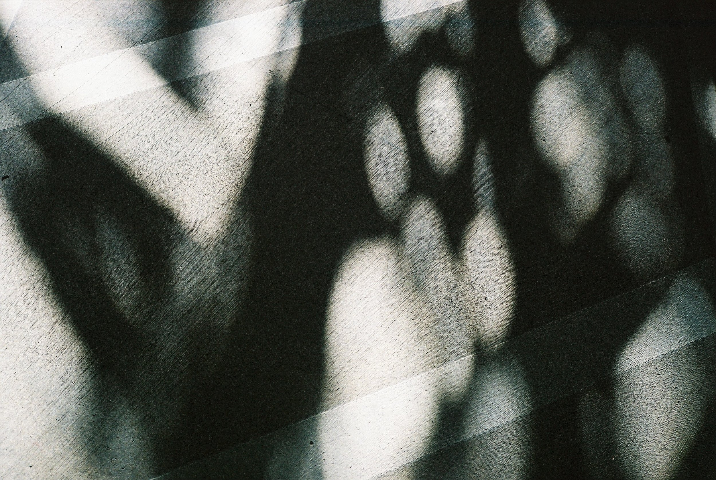 000019.JPG