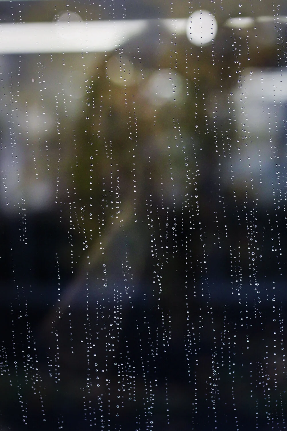 Morning Rain, 2019