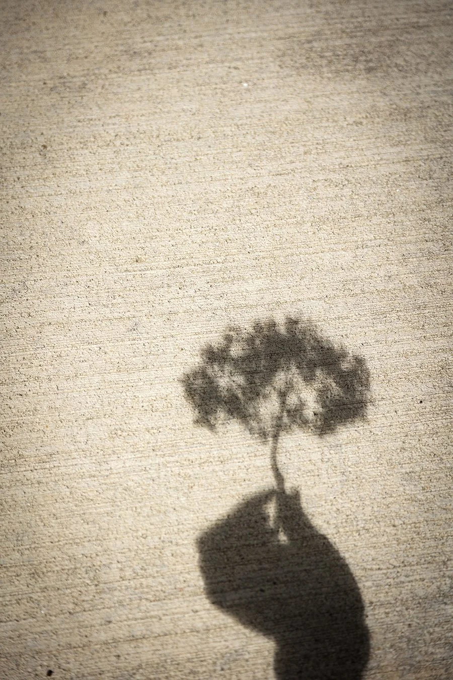 Eclipse Shadow
