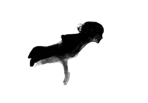 Transient