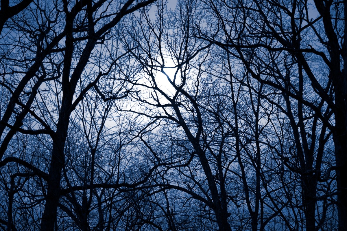 dsc_2614.jpg
